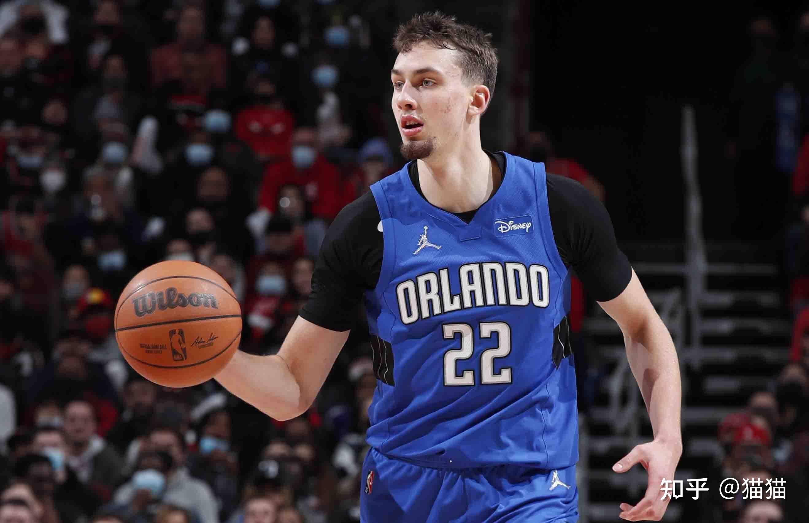 仅展示了他 仅展示了他